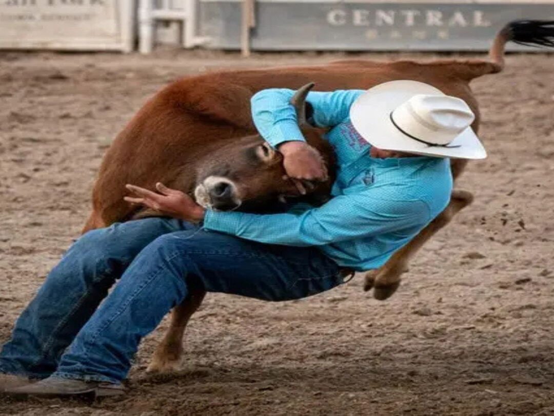 Projeto da vereadora Rafaela do Batista é aprovado e a “Pega do Bezerro” se torna patrimônio cultural e esportivo de Ariquemes